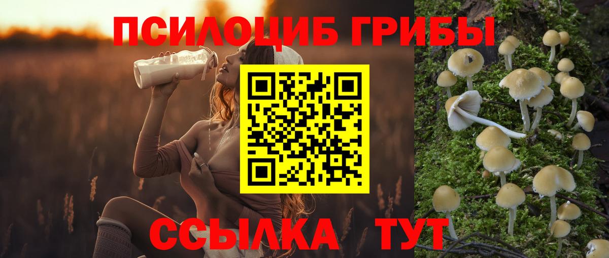 Галлюциногенные грибы Cubensis  Вход с VPN  Волжск 